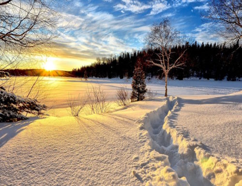 A beautiful winter dream