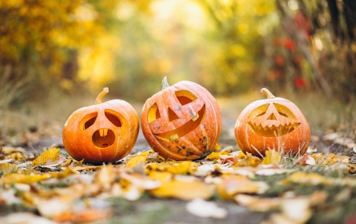 Halloween in Köln: Drei geschnitzte Halloween-Kürbisse auf einem mit Herbstblättern bedeckten Weg.