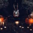 Halloween in Cologne: A person holding a deer skull surrounded by pumpkins and candles in a dark, natural setting.