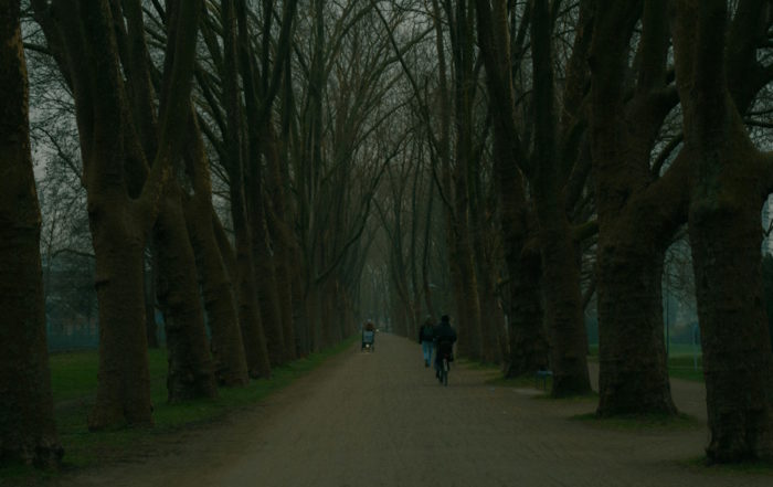 Elves of Cologne on a mysterious path home.