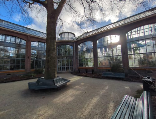 Jardín Botánico en Ámsterdam