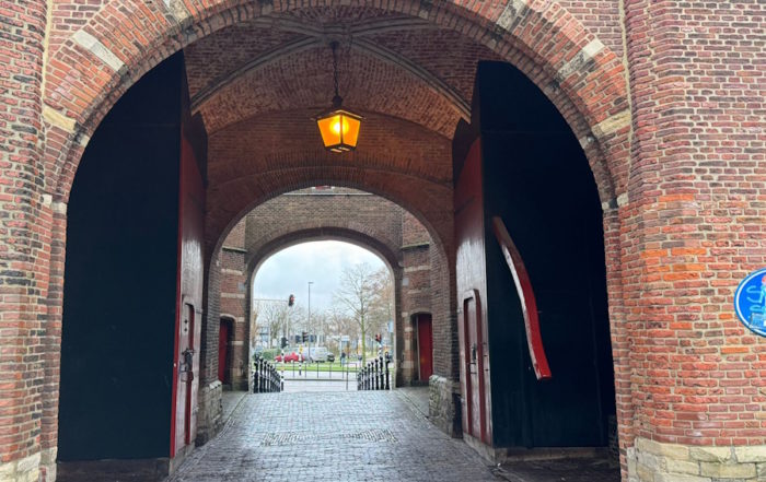 Harleem Historic Street View