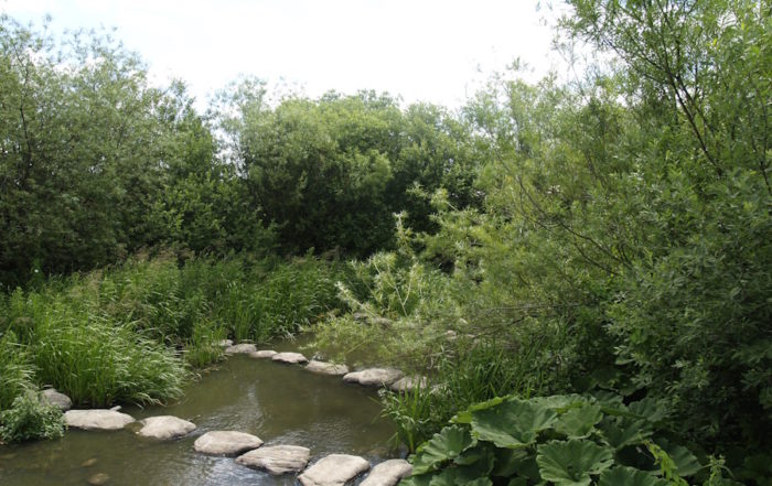 Svalov's Natural Beauty: Willow-Shaded Streams and Green Spaces