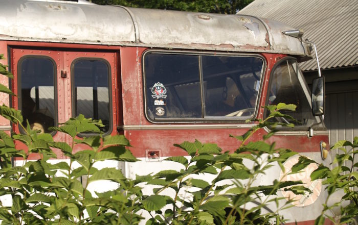 Svalov's Hidden Gem: A Vintage Bus Reclaimed by Nature