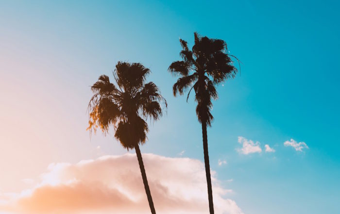 Summer Palm Tree Sunset: Tropical Vibes and Warm Skies