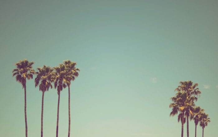 Sommertag mit Palmen: Minimalistische Tropenstimmung