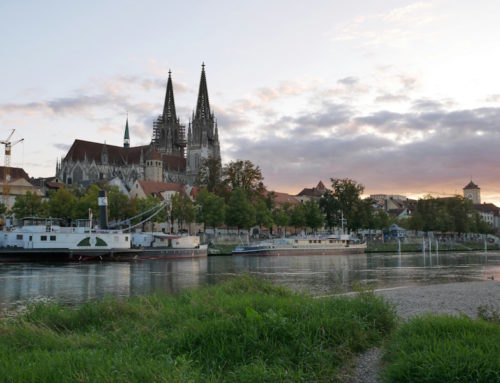 Summer in Cologne: Hot Days, Hotter Nights