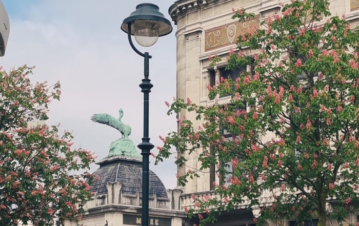 Belgien: Grandiose Architektur mit blühenden Bäumen