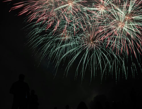 Cologne Lights 2025: Phoenix Ignites Europe