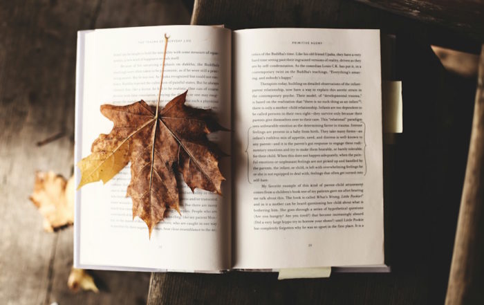 Traumboys | Herbst-Leseecke - Offenes Buch mit einem Gefallenen Ahornblatt
