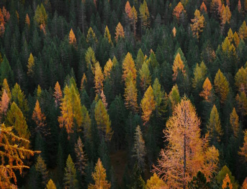 Autumn evening at Traumboys