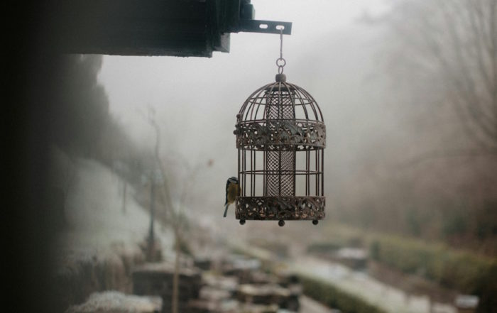 Home 12 Five Friends Garden Decor: Vintage Ornate Birdcage Hanging Outside on Misty Winter MorningRetry