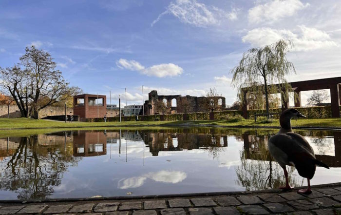 Trier - Imperial Bath Ruins Reflected in Palace Garden Pool
