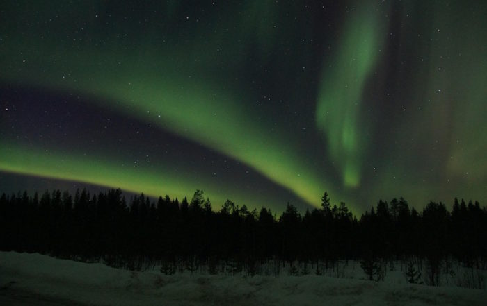 Schweden Nordlichter Polarlicht über Verschneitem Wald Winterlandschaft