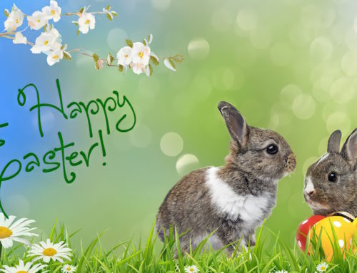 Happy Easter